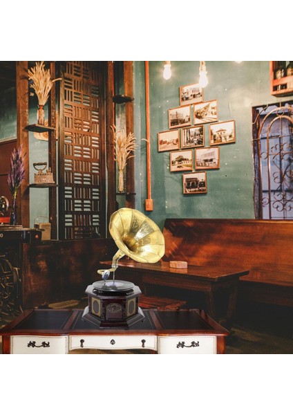 Gramofon Sekizgen Ahşap Plak Çalar No.3 37X63CM fiyatları