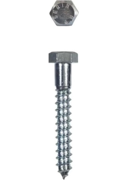 Trifon Vida 8X80 mm (5 Adet)