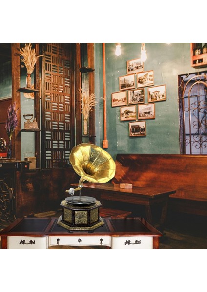 Gramofon Sekizgen Ahşap Plak Çalar No.4 37X63CM fiyatları