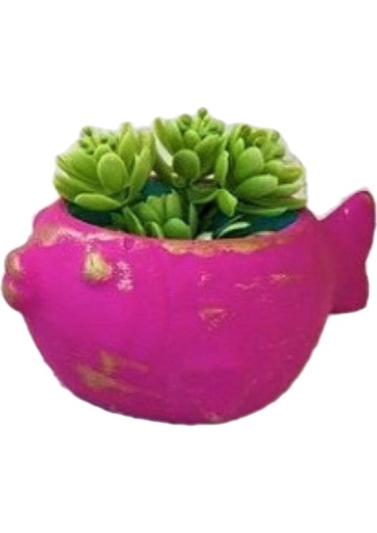 13cm Balık Saksı Mumluk Silikon Kalıp K-753, Polyester Taş Tozu Alçı Kalıbı