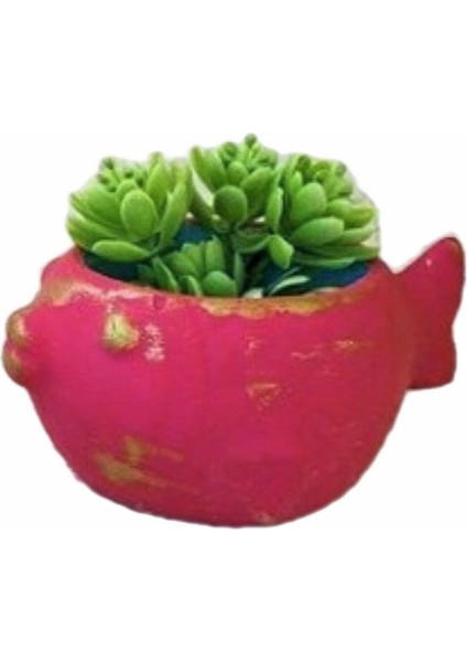 13cm Balık Saksı Mumluk Silikon Kalıp K-753, Polyester Taş Tozu Alçı Kalıbı fırsatları