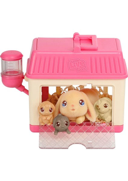 Little Live Pets Anne ve Yavruları Mini Tavşan