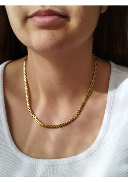 Ladybirdbujiteri Silindir Balık Sırtı Örme Model Çelik Zincir Kolye