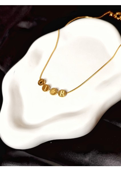 Ladybirdbujiteri Diorr Model Daire Plaka Çelik Kolye fırsatları