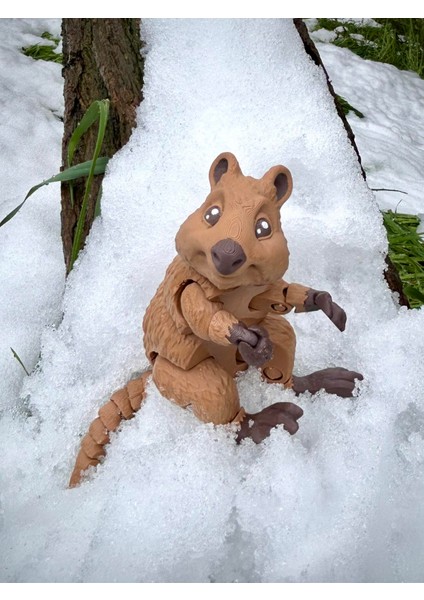 Quokka - Kısa Kuyruklu Kanguru Oyuncak Rottnest Adası'nın Cesur Gönüllüsü🦘🌿3d Hareketli Organik Vip Model - Büyük Boy