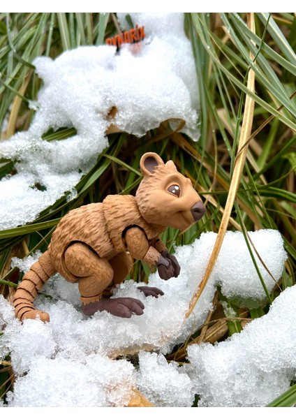 Quokka - Kısa Kuyruklu Kanguru Oyuncak Rottnest Adası'nın Cesur Gönüllüsü🦘🌿3d Hareketli Organik Vip Model - Büyük Boy fiyatları