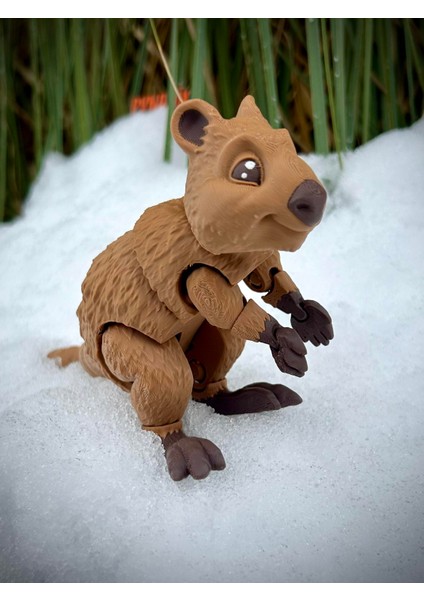 Quokka - Kısa Kuyruklu Kanguru Oyuncak Rottnest Adası'nın Cesur Gönüllüsü🦘🌿3d Hareketli Organik Vip Model - Büyük Boy modelleri