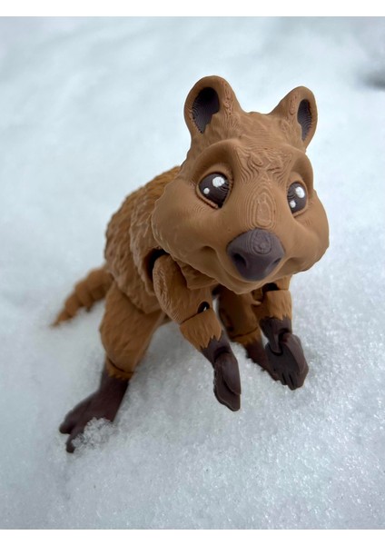 Quokka - Kısa Kuyruklu Kanguru Oyuncak Rottnest Adası'nın Cesur Gönüllüsü🦘🌿3d Hareketli Organik Vip Model - Büyük Boy fırsatları