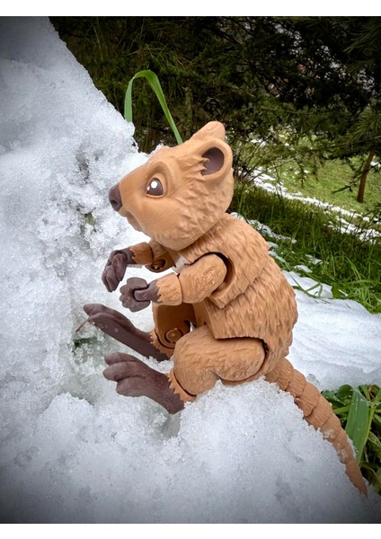 Quokka - Kısa Kuyruklu Kanguru Oyuncak Rottnest Adası'nın Cesur Gönüllüsü🦘🌿3d Hareketli Organik Vip Model - Büyük Boy