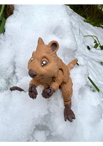 Quokka - Kısa Kuyruklu Kanguru Oyuncak Rottnest Adası'nın Cesur Gönüllüsü🦘🌿3d Hareketli Organik Vip Model - Büyük Boy