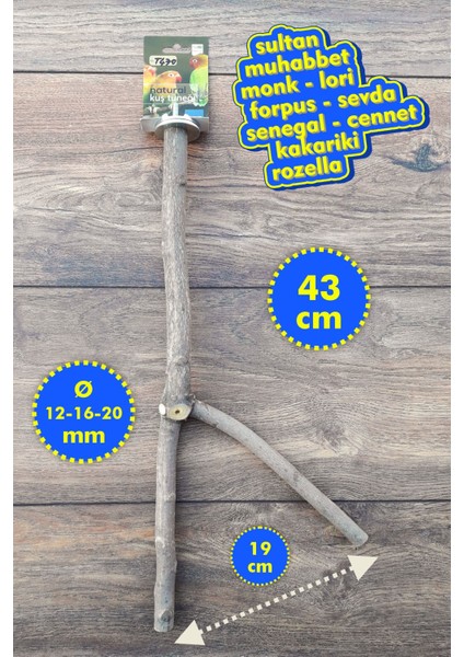 Venty Doğal Papağan Tüneği 43 cm | Sultan, Muhabbet, Sevda, Forpus, Monk, Lori, Senegal, Kakariki, Rozella- T470