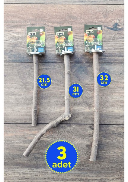 Venty 3'lü Doğal Papağan Tüneği | Sultan, Muhabbet, Forpus, Sevda, Cennet, Lori, Monk - M522