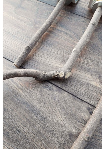 Venty 3'lü Doğal Papağan Tüneği | Sultan, Muhabbet, Forpus, Sevda, Cennet, Lori, Monk - M522 indirimleri