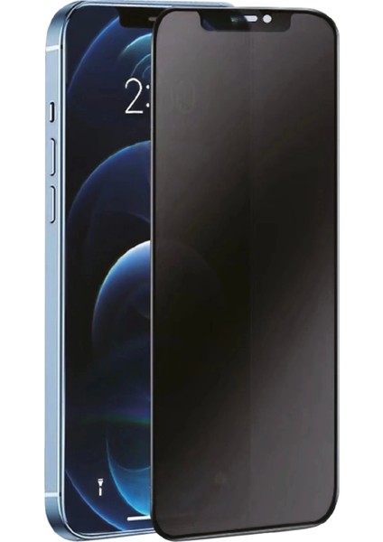 Bfs iPhone 11 Pro Max 3D Antistatik Hayalet Cam Ekran Koruyucu