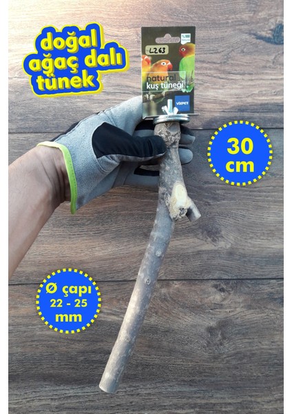 Venty 30 cm Doğal Papağan Tüneği | Jako, Amazon, Alex, Konur, Sultan, Monk, Senegal - L263