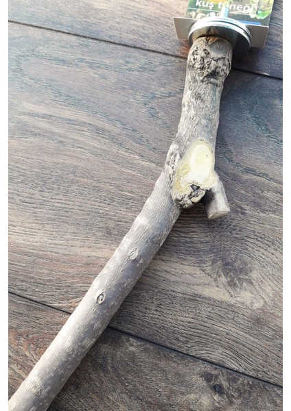 Venty 30 cm Doğal Papağan Tüneği | Jako, Amazon, Alex, Konur, Sultan, Monk, Senegal - L263 fırsatları