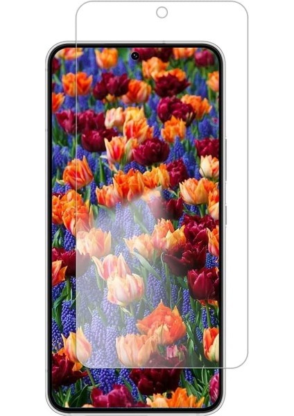 Case 4u Samsung Galaxy S22 Plus Uyumlu Tamperli Kırılmaz Cam Ekran Koruyucu (Yurt Dışından)