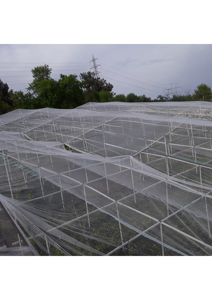 Dolu Filesi – Misina – Şeffaf Renk – Şeritli Halkalı - 3 Metre Enli