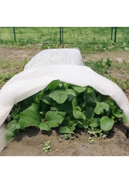 - Don Kırağı Örtüsü - Agril Don Örtüsü - 30 gr - Beyaz - 1 Metre x 40 Metre