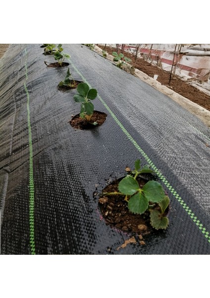 Sera Taban Örtüsü - Jüt Taban Örtüsü - Siyah - 1,5 Metre Enli indirimleri