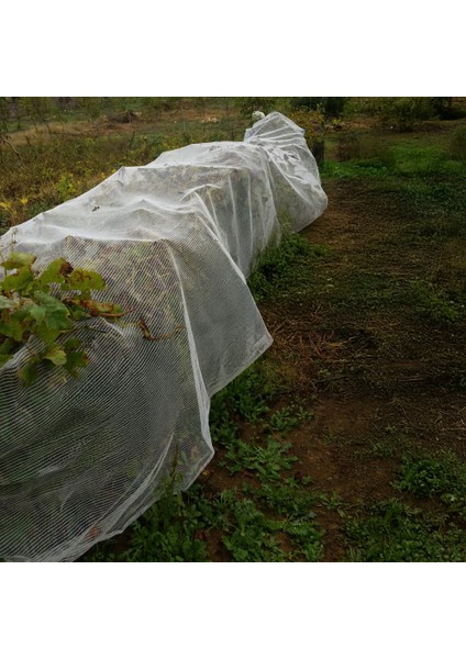 Kuş Filesi – Misina Dokuma – Şeffaf Renk - 4 Metre Enli fırsatları
