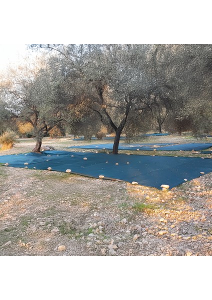 Zeytin Toplama Filesi - Zeytin Yaygısı - Yüzde 75'lik - Yeşil - Düz - Zeytin Sergisi - Sergenlik - Zeytin Çulu - Dut Toplama Filesi modelleri