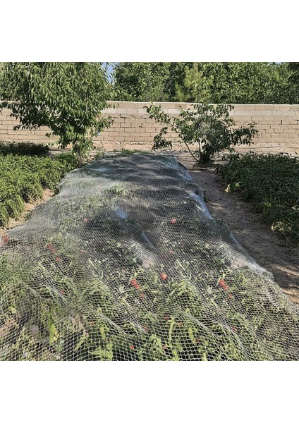 Kuş Filesi Kuş Ağı - 2 cm Gözenekli - Kuş Engelleme Filesi fırsatları