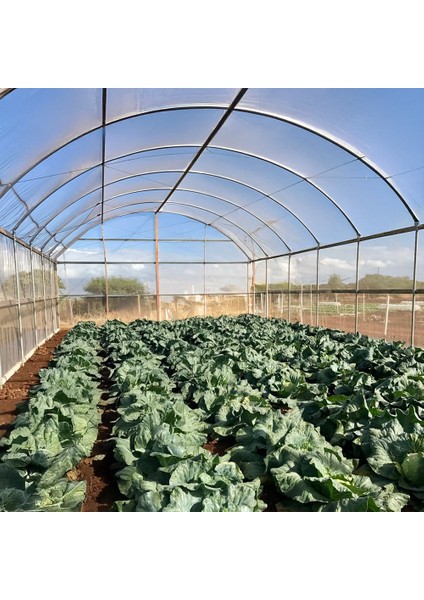Sera Naylonu - 24 Aylık - 350 Mikron Sera Örtüsü - 2 Metre x 40 Metre fiyatları