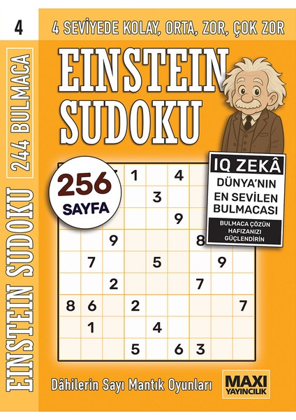 Einstein Sudoku 4