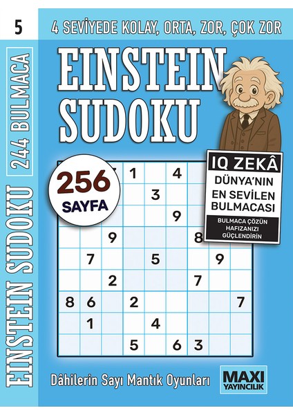 Einstein Sudoku 5