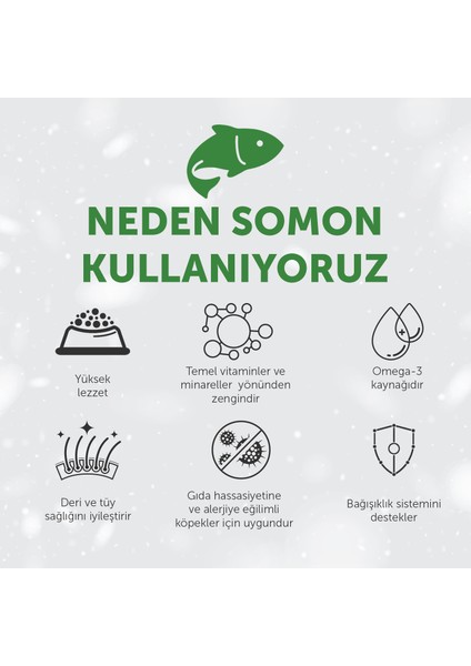 Nature's Protection Superior Care Kızıl/Kahverengi Tüylü Köpekler için Somonlu Tahılsız Küçük Irk Köpek Maması 1,5kg