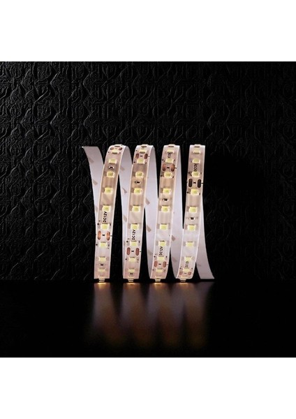 120 Çip Şerit LED (Günışığı) CT-4540G 5mt