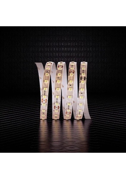 120 Çip Şerit LED (Günışığı) CT-4540G 5mt modelleri