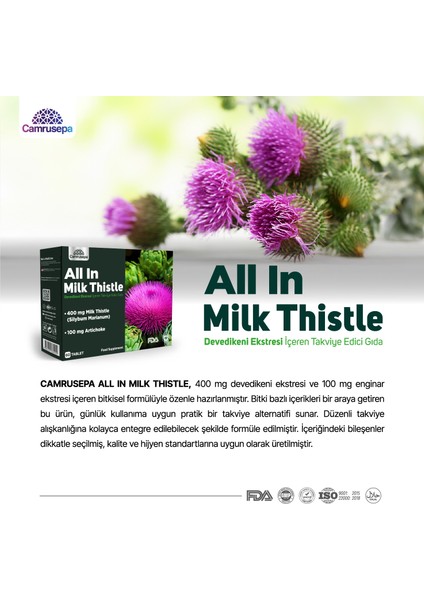 All In Milk Thistle (60 Tablet) 2'li Avantajlı Paket