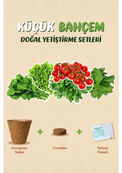 Küçük Bahçem Çeri Domates Tohumu Yetiştirme Seti fırsatları