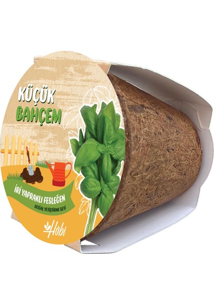 Küçük Bahçem Fesleğen Tohumu Yetiştirme Seti