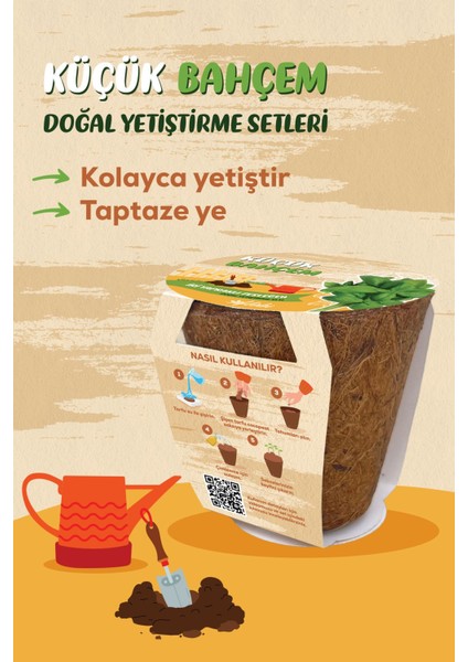 Küçük Bahçem Fesleğen Tohumu Yetiştirme Seti modelleri