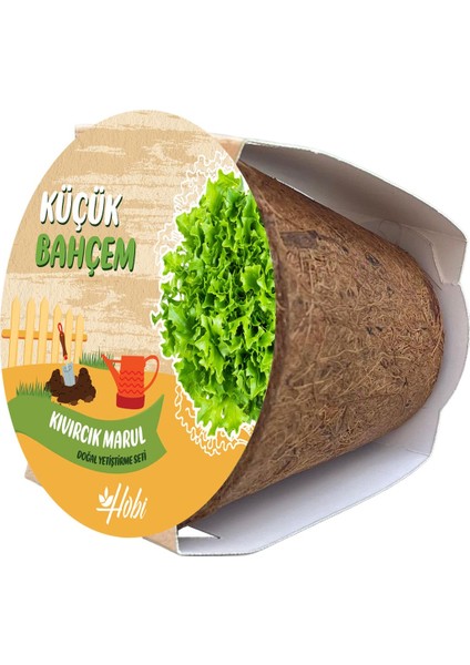 Küçük Bahçem Marul Tohumu Yetiştirme Seti