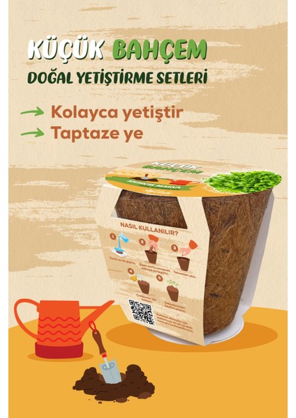 Küçük Bahçem Marul Tohumu Yetiştirme Seti modelleri
