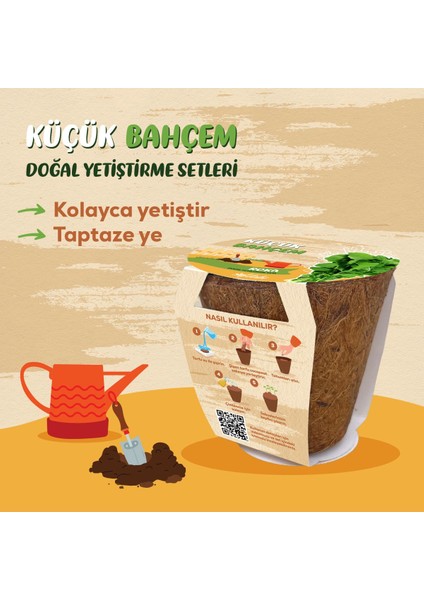 Küçük Bahçem Roka Tohumu Yetiştirme Seti modelleri