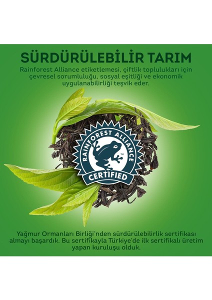 Mango & Ananaslı Yeşil Çay 20 Süzen Poşet 12'li indirimleri