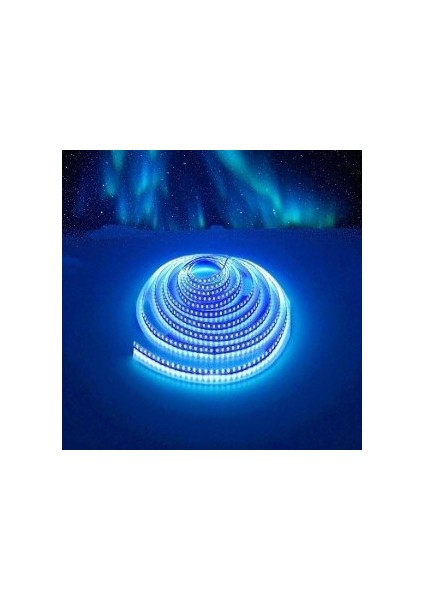 10 Çip Şerit LED Iç Mekan (Mavi) CT-4484 5mt