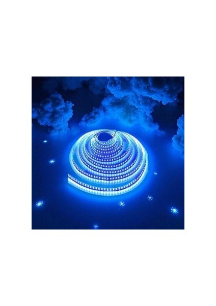 10 Çip Şerit LED Iç Mekan (Mavi) CT-4484 5mt fırsatları