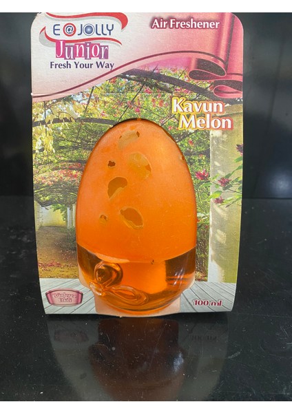 Araç,ev,ofis Kokusu fiyatları