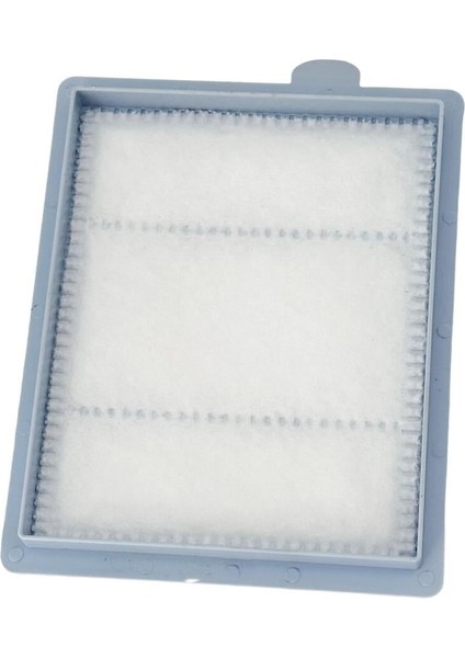 Electrolux Uyumlu Z3352B Süpürge Hava Filtresi