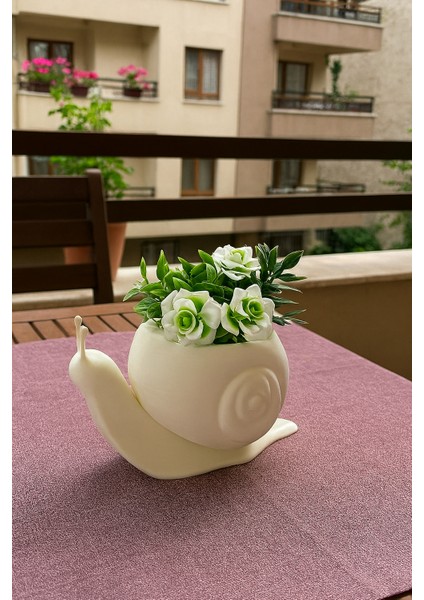 Salyangoz Saksı Dekoratif