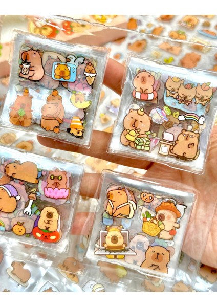 4 Bölmeli 100 Yaprak Capybara Desenli Şeffat Pet Sticker Su Geçirmez Sevimli Dostlar ile Yolculuk fırsatları