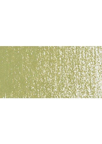 Neopastel Yumuşak Yağlı Pastel Khaki Green 016 modelleri