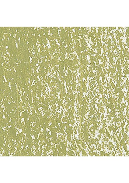 Neopastel Yumuşak Yağlı Pastel Khaki Green 016 fırsatları