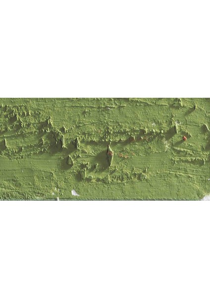 Neopastel Yumuşak Yağlı Pastel Khaki Green 016 indirimleri